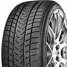 Gripmax Pro Winter 255/30 R 20 92V